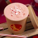 Dairy Free Peppermint Ice Cream Recipe