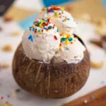 Homemade Vegan Ice Cream